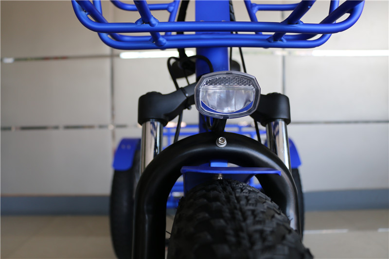Front 24"x4.0 Wheel Electric Disabled Tricycle with Fat Tire and Black Color