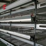 Battery Automatic H Type Poultry Cage System Hot Sale 240Birds Rose