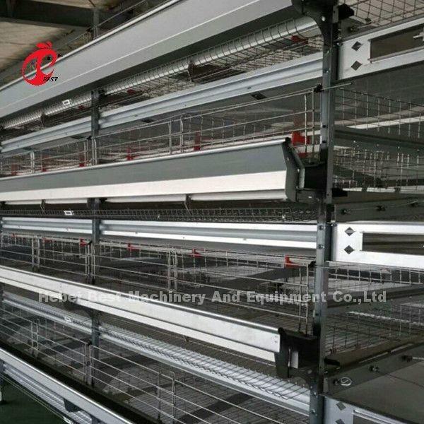 Buy cheap Battery Automatic H Type Poultry Cage System Hot Sale 240Birds Rose from wholesalers