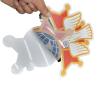 Buy cheap Hot Spot Body PVC Car Sticker Waterproof Individuation Of Creativity from wholesalers