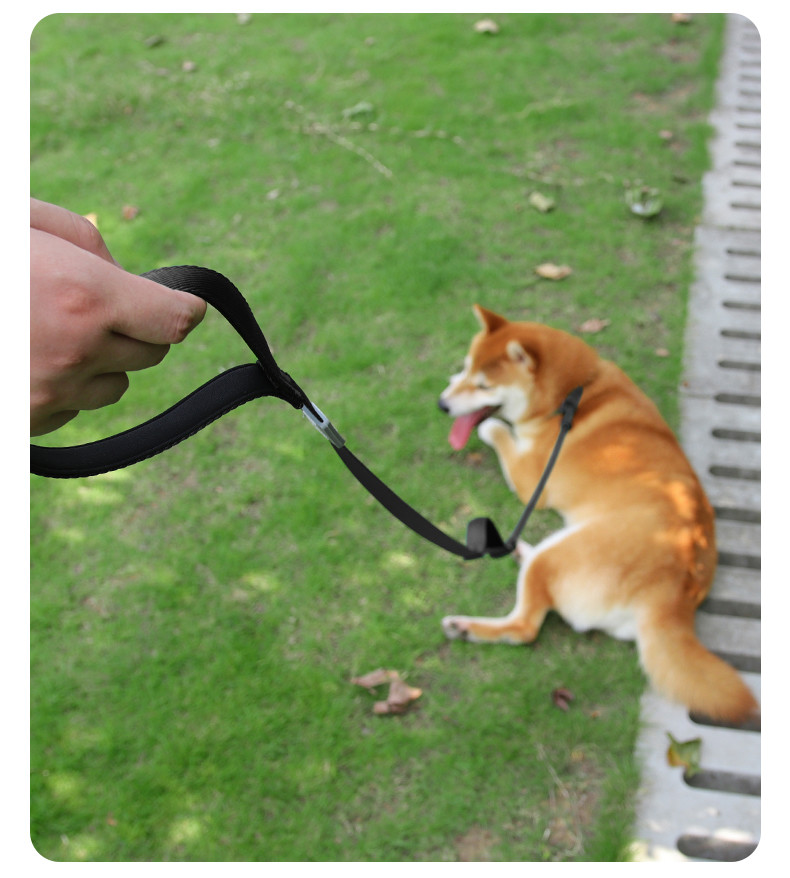 Pet Nylon P Chain Leash Dog Explosion-Proof Punch Handle Integrated Dog Walking Rope