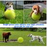 Buy cheap 9.5 Inch Rubber Dog Tennis Ball With Inflating Needles from wholesalers