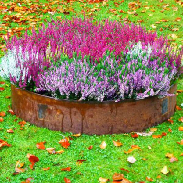 Buy cheap 3.2FT Corten Steel Garden Edging Bunnings Rusty 39.3 Inch Corten Path Edging from wholesalers