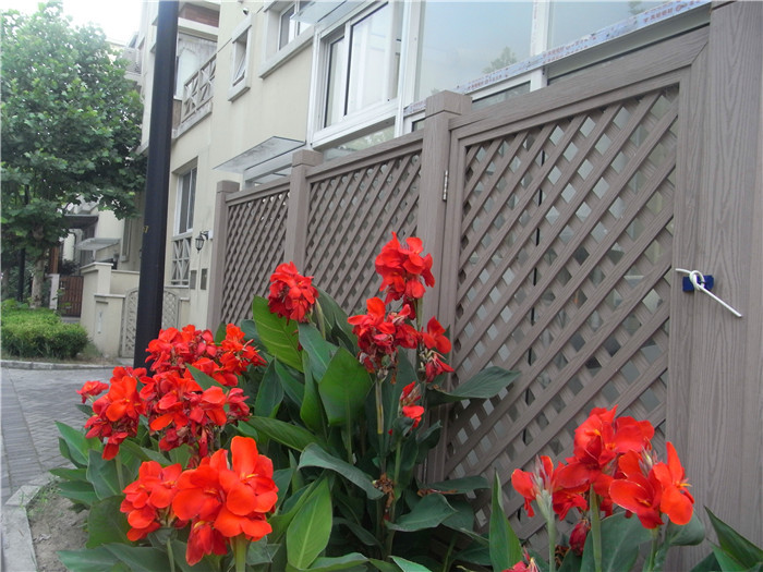 Removable Wood Plastic Composite Flooring Covering with Anti-UV and Brushing Surface