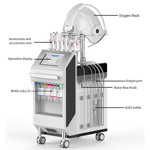 Skin Tightening Wrinkle Removal 100v Multifunction Beauty Machine For Salon