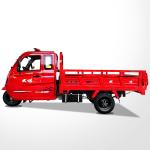 Gasoline Three Wheel Cargo Motorcycle 3 Wheel Motorized Tricycle Chinese Cargo
