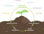 OMRI Organic Enzymatic Amino Acid Fertilizer 16-0-0 | 80% Plant Based Nitrogen