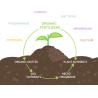 Buy cheap OMRI Organic Enzymatic Amino Acid Fertilizer 16-0-0 | 80% Plant Based Nitrogen Powder from wholesalers