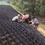ISO9001 Certified HDPE Geocell for Road Soil Stabilization and Parking Lot