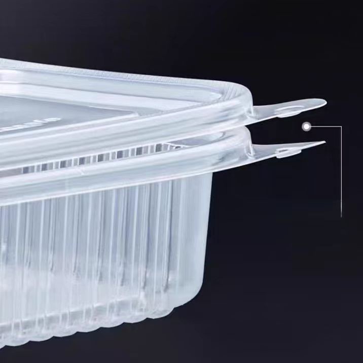 4 Compartment Takeaway Food Container Clear PP Fast Food Leak Proof