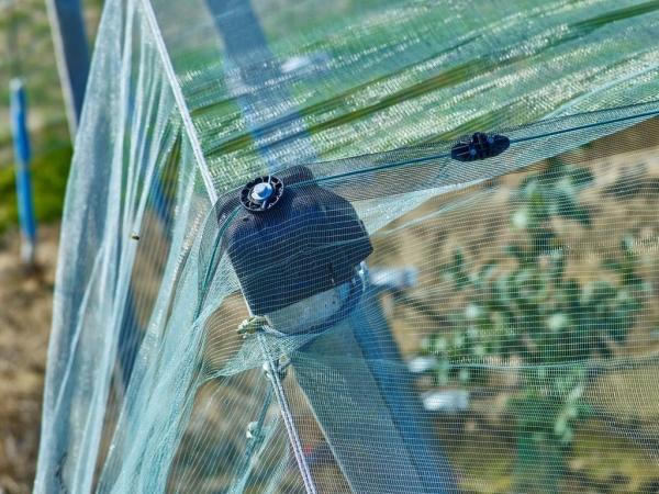 Buy cheap 100% HDPE 4x50m Insect Mesh Netting For Greenhouse Nursery / Agricultural from wholesalers