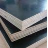 Buy cheap 18mm hardwood/poplar/birch core repeated 10 times brown film faced plywood in linyi from wholesalers