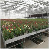 Buy cheap Plastic Bench Hydroponic Grow Bed Greenhouse Rolling Growing Table product