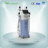 Buy cheap vacuum fat cellulite machine cryolipolysis from wholesalers