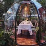 Bubble House Outdoor Star Room Wedding Venue Transparent Barbecue Tent Room