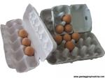 Egg Tray/Carton Drying System