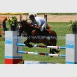 Photo Custom Oil Portraits Horse Race Oil Painting Handmade On Canvas
