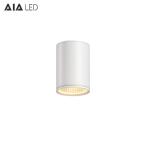 IP65 waterproof ceiling mounted outdoor 10W COB LED downlight&exterior LED down