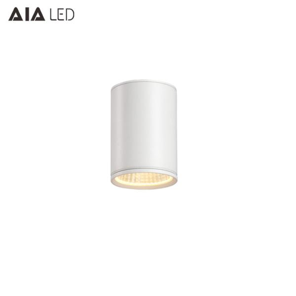 IP65 waterproof ceiling mounted TRIAC dimmable downlight 10W 0-10V dimmable