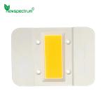 100W LED COB Chip