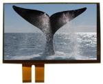 ST7262 16/18/24 Bit RGB Capacitive Resistive Touch Screen 5 Inch 800x480