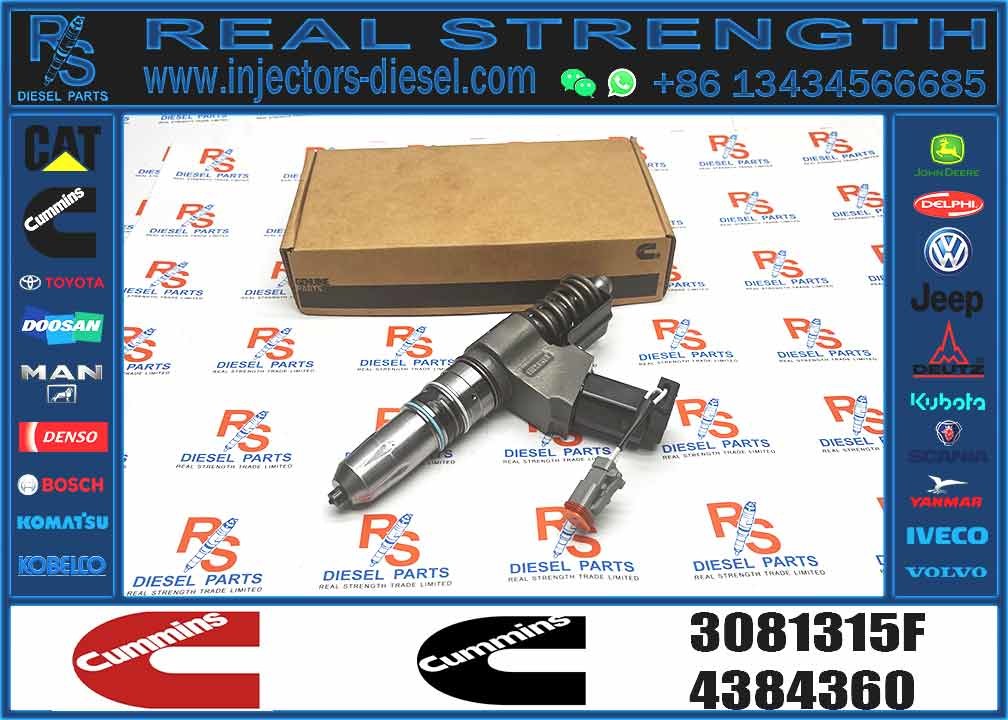 High Quality 3081315F Common Rail Injector 3081315F Auto Parts Injector