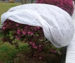 Buy cheap Polypropylene NonWoven Fruit Tree Protection Bags 18gsm from wholesalers