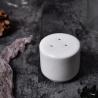 Buy cheap White Ceramic Salt And Pepper Shakers from wholesalers