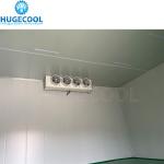 Discounted Frozen Chicken Blast Chiller Cold Room Air Blast Freezer with Freon