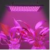 Buy cheap 150w 289 LEDs Dimmable Indoor Plant Grow Lights from wholesalers