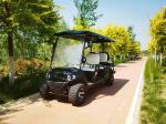 Customized Off Road Black 6 Seaters Golf Cart With AC Motor 3.5 KW Lead Acid