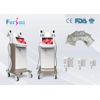 Buy cheap Big screen,handle,easy operation,delicate and firm body,Cryolipolysis Slimming product
