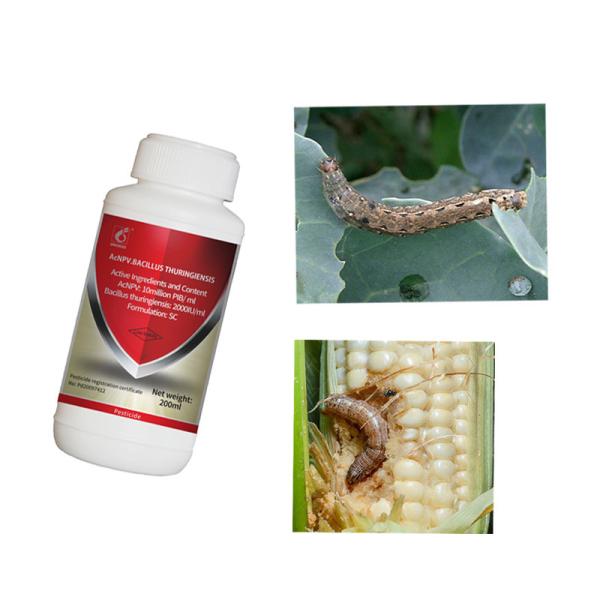 Buy cheap AcNPV SC Natural Vegetable Insecticides For Flowering Plants Agricultural Biopesticides from wholesalers
