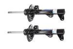 2123231300 Front Hydraulic Shock Absorbers For Mercedes Benz W212 W218