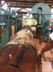 CNC Log Vertical Band Sawmill 1500mm Woodworking Saw Machine