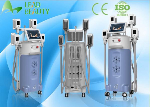 Buy cheap Low price CE/FDA cryo Criolipolisis lipolysis body slimming machine from wholesalers