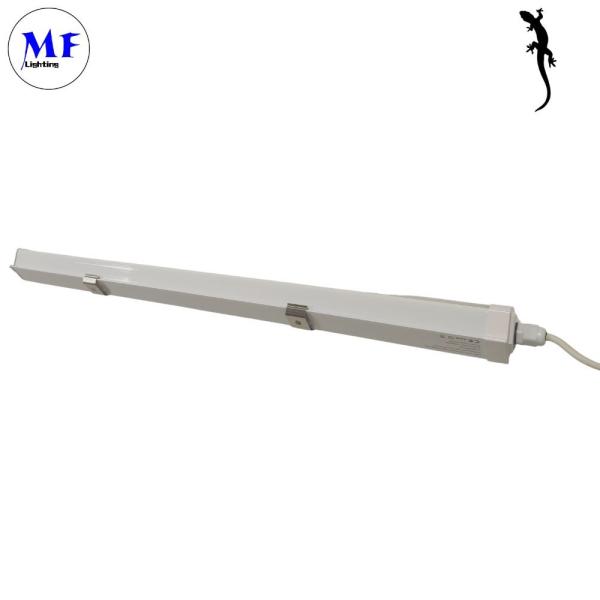 High Power 50W LED Wall Tri-Proof Light 3000K-6000K IP66 Waterproof Wide Beam