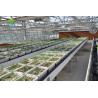 Buy cheap Food Grade 3.0-5.0mm Thick PVC NFT Hydroponic Gutter For Strawberries from wholesalers