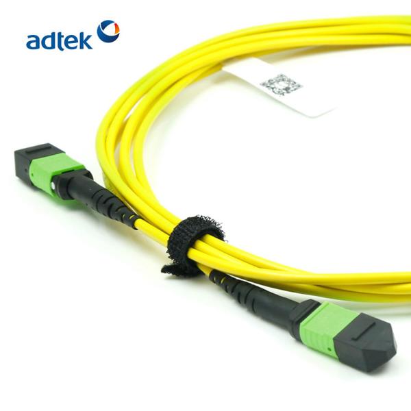 Buy cheap 10 / 40G Female MPO MTP Patch Cord For Data Center from wholesalers