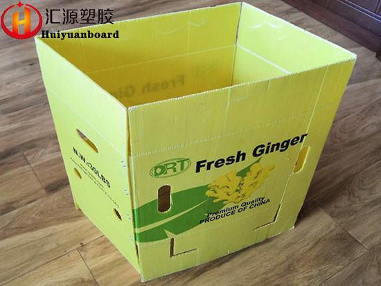 Buy cheap Impact Resistant Corrugated Plastic Packaging Boxes For Fresh Ginger from wholesalers