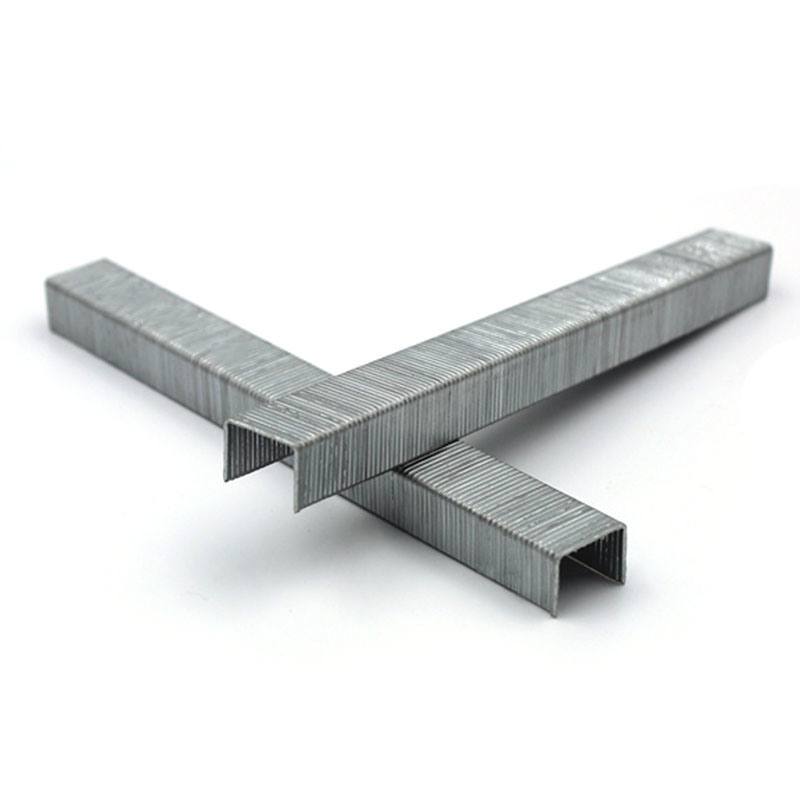 21 Gauge Staple 1/2 Crown 8mm