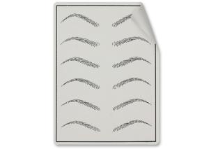 China Lushcolor Private Label Practice Skin For Starter Semi Permanet Makeup / Tattoo Begainner on sale