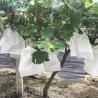 Buy cheap Agricultural 40G Banana Fruit Protection Bags 18x25cm from wholesalers