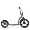 Buy cheap Front 20inch Rear 16inch Adults Electric Scooter 250w 36v Lithitum Battery from wholesalers