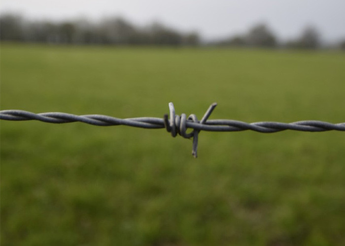 Garden Anti-Theft 12.5 Gauge Double Twisted Galvanized Barbed Wire
