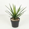 Buy cheap Texture Fidelity Greenery Agave Faux Bonsai Tree 22 CM 25 CM 29 CM from wholesalers