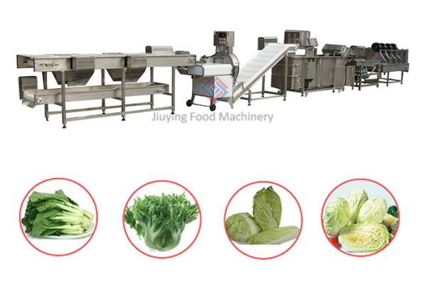Automatic Salad Production Line Leaf Vegetable Cutting And Washing Production