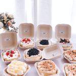 Restaurant Fast Food Takeaway Bento Lunch Square Biodegradable Disposable