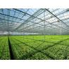 Buy cheap Tempered Vegetable Plants Growing Greenhouse from wholesalers