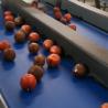 Buy cheap 380V / 50Hz Intelligent Stainless Steel Hawthorn Sorting Machine With 99.9% Accuracy from wholesalers